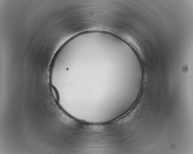 X0000090710900200708171904