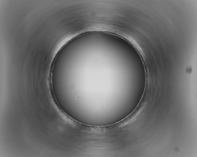 X0000090710901200708171904