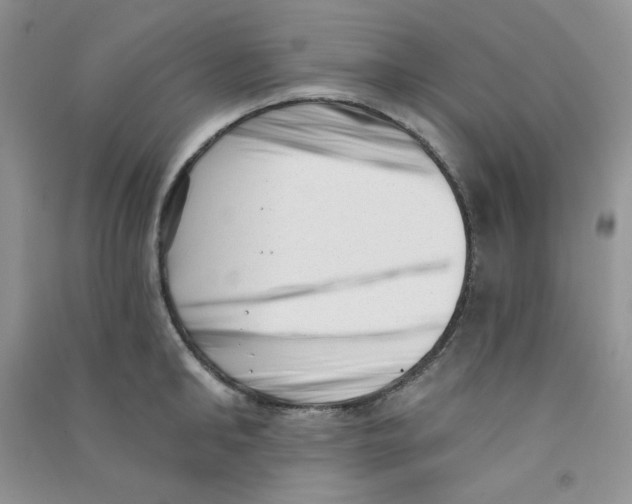 X0000090710902200708171904