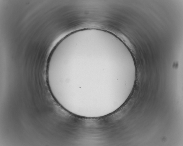 X0000090710904200708171904