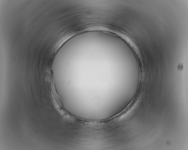 X0000090710905200708171904