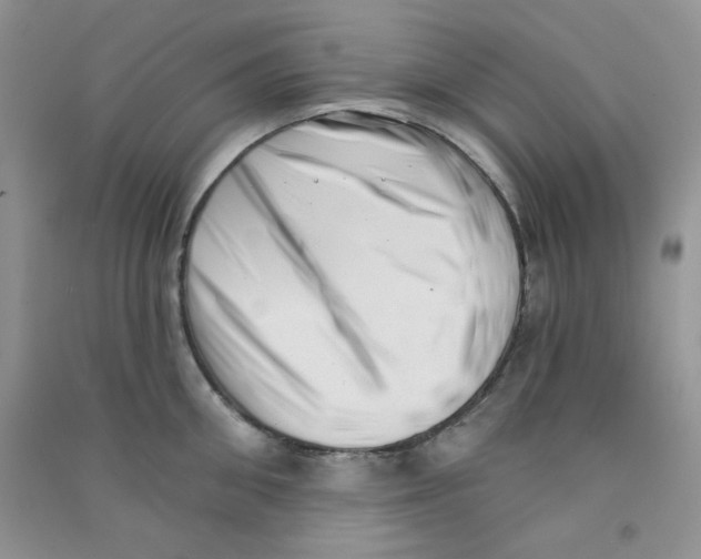 X0000090710906200708171904