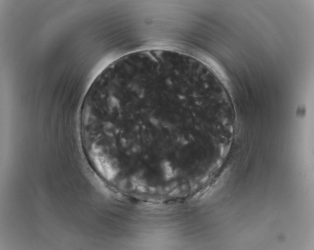 X0000090710907200708171904