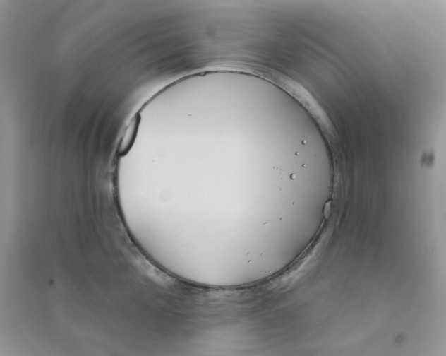 X0000090710908200708171904