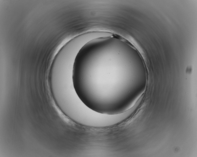 X0000090710909200708171904