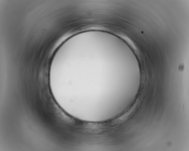 X0000090710910200708171904