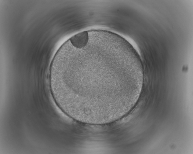 X0000090710911200708171904