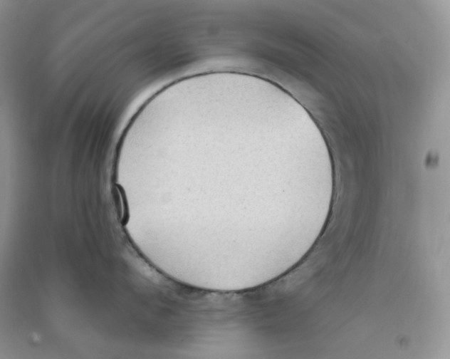 X0000090710912200708171904