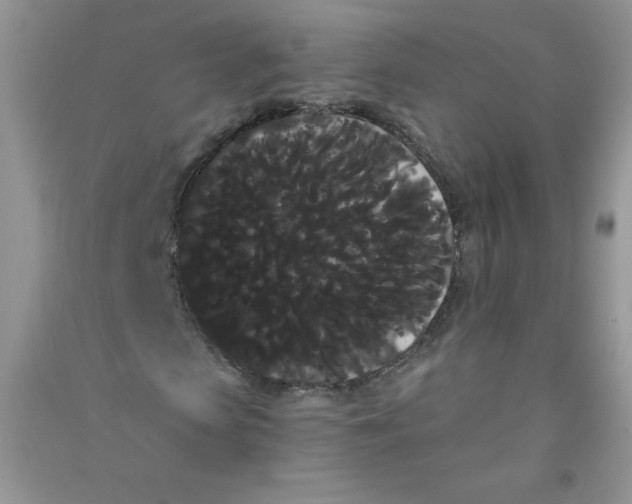 X0000090710913200708171903