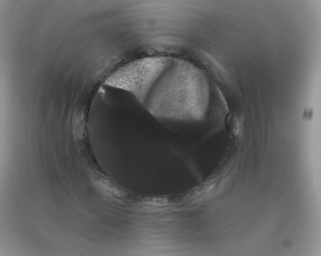 X0000090710915200708171903