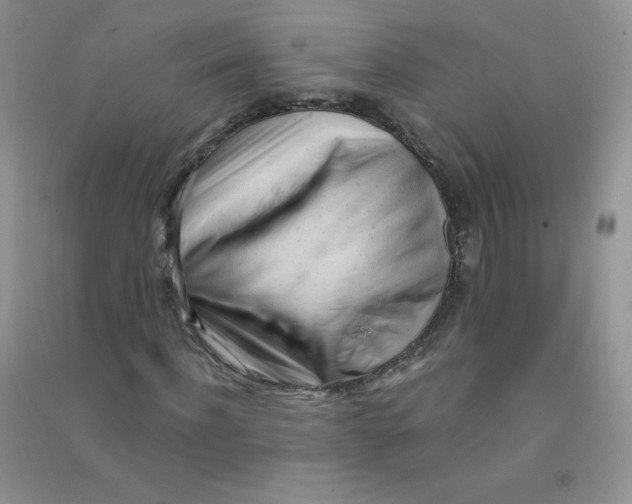 X0000090710916200708171903