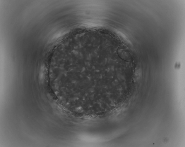 X0000090710917200708171903