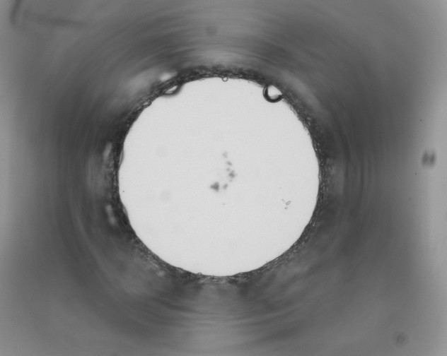 X0000090710918200708171903