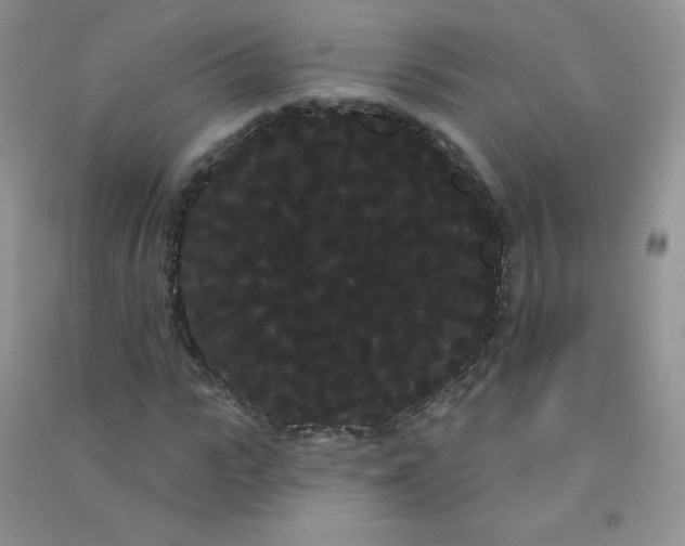 X0000090710919200708171903