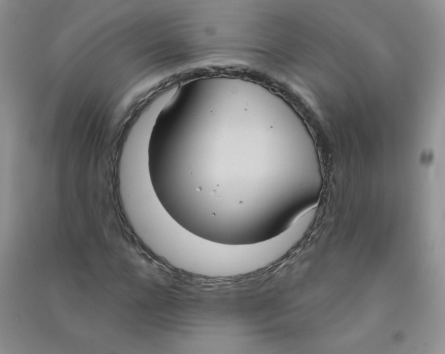 X0000090710920200708171903