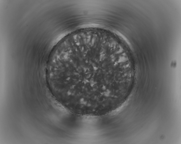 X0000090710921200708171903