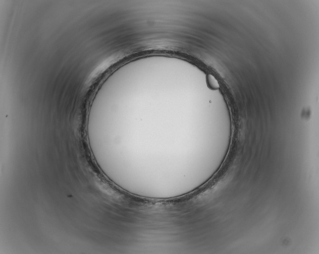 X0000090710922200708171903