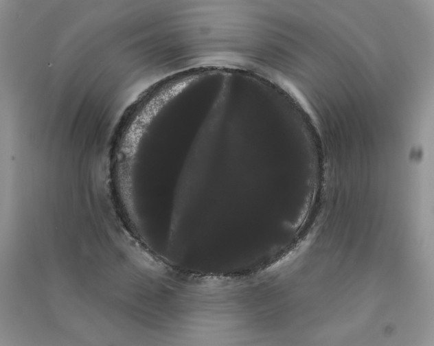 X0000090710923200708171903