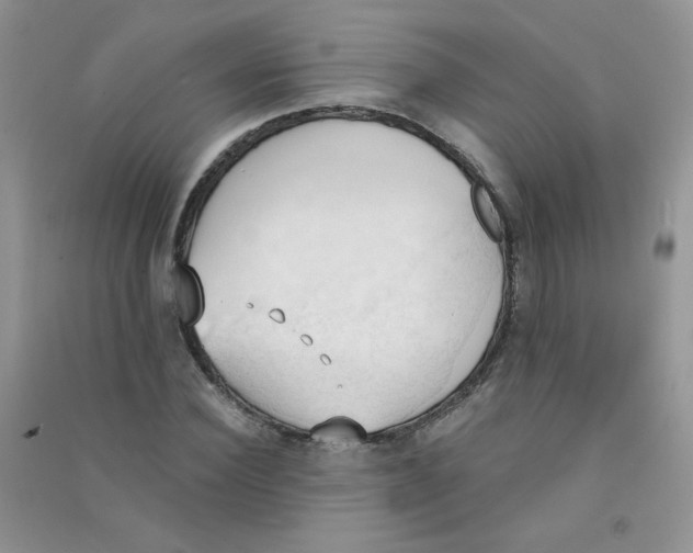 X0000090710924200708171903