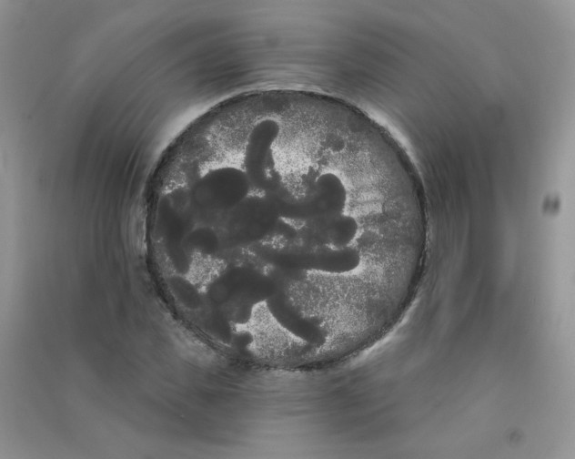 X0000090710925200708171903