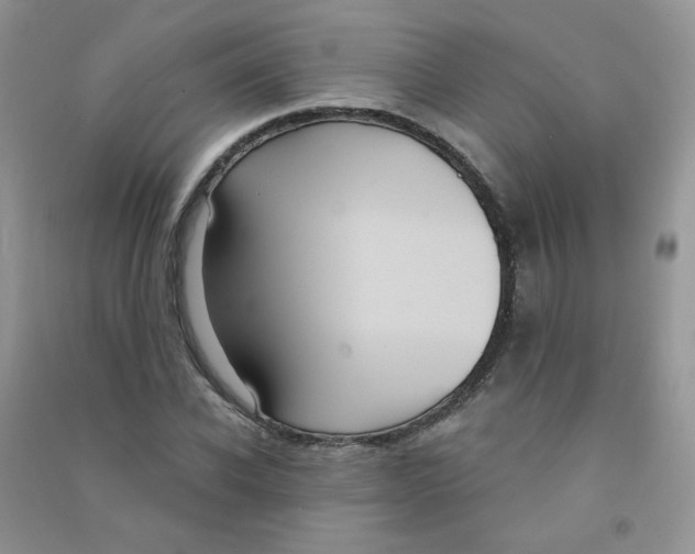 X0000090710926200708171903