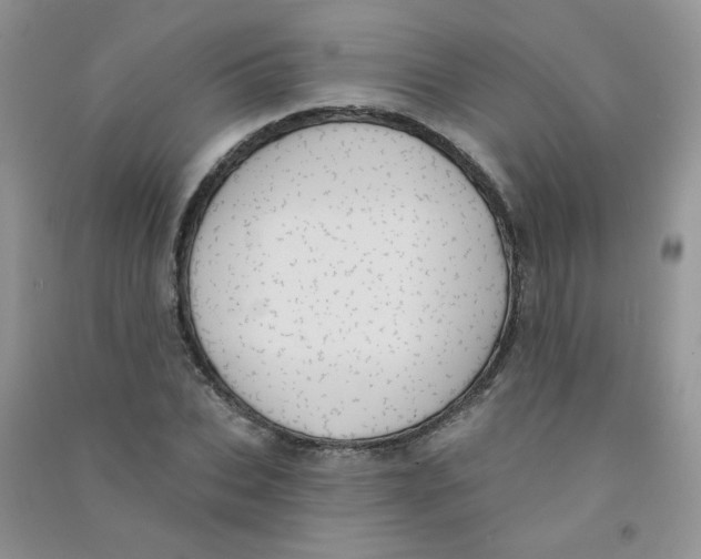 X0000090710927200708171903