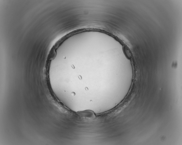 X0000090710928200708171903