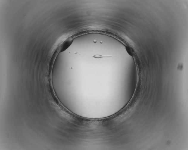 X0000090710930200708171903