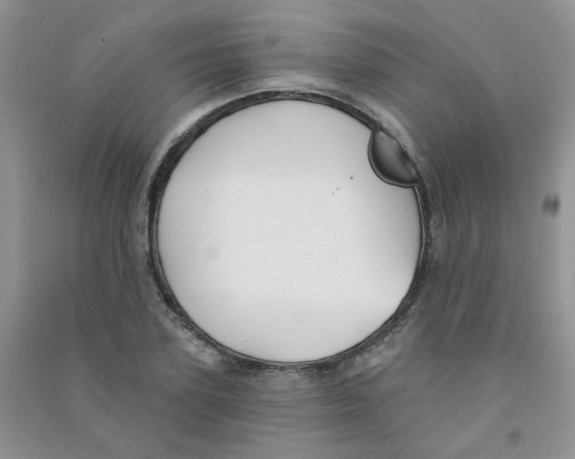 X0000090710931200708171903