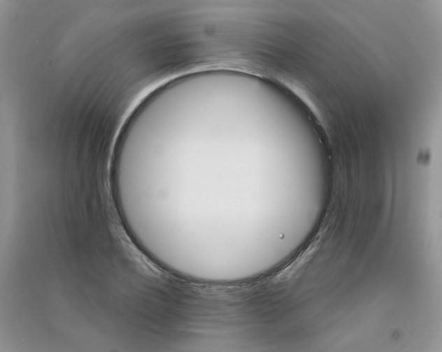 X0000090710932200708171903