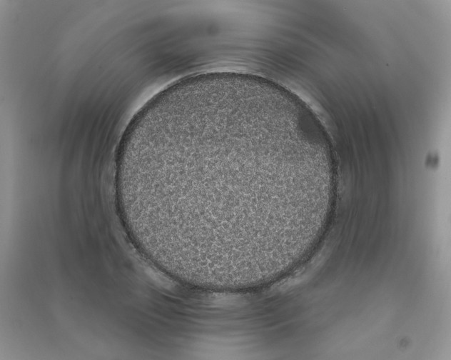 X0000090710933200708171903