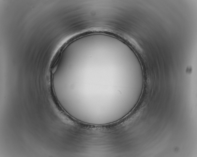 X0000090710934200708171903