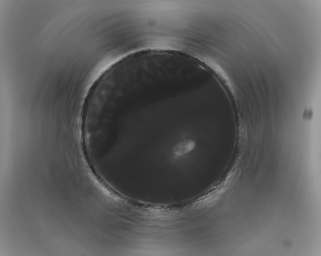 X0000090710935200708171903