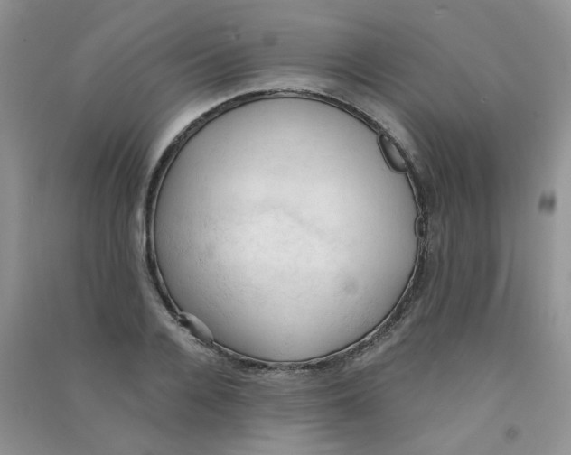 X0000090710936200708171904