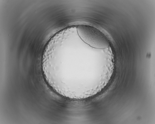 X0000090710937200708171904