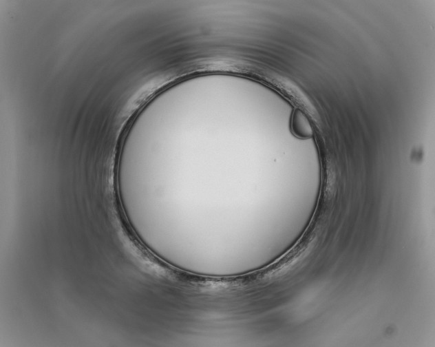 X0000090710938200708171904