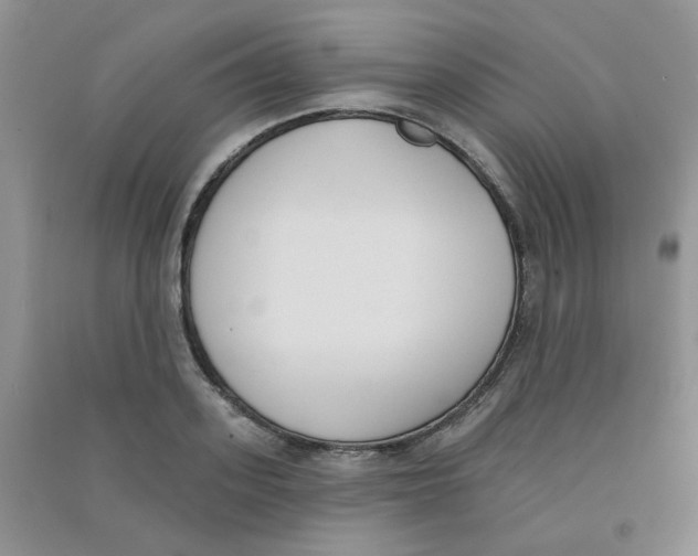 X0000090710939200708171904