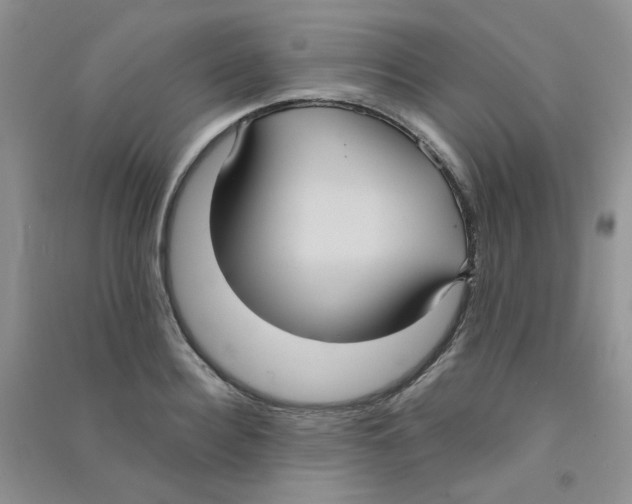 X0000090710940200708171904