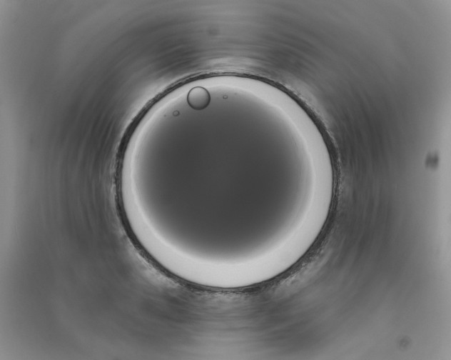 X0000090710941200708171904