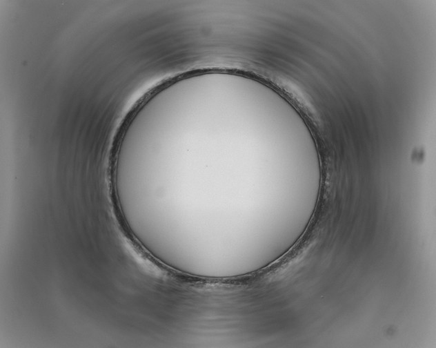 X0000090710942200708171904