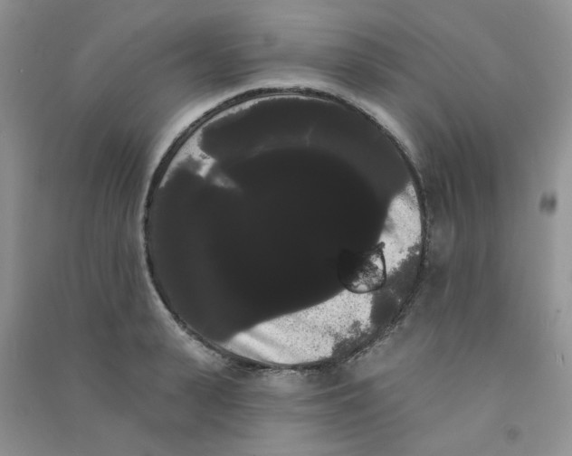 X0000090710943200708171904