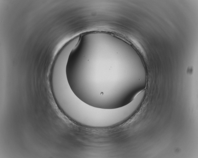 X0000090710944200708171904