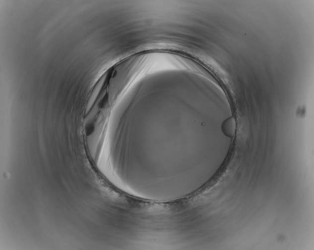 X0000090710945200708171904