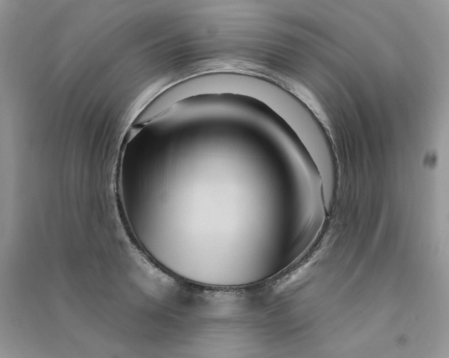 X0000090710946200708171904