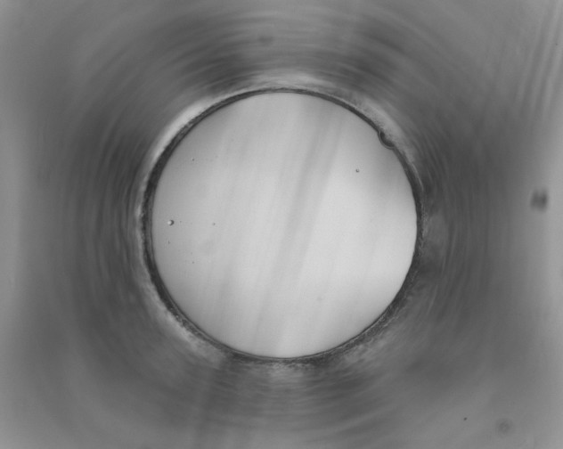 X0000090710947200708171904