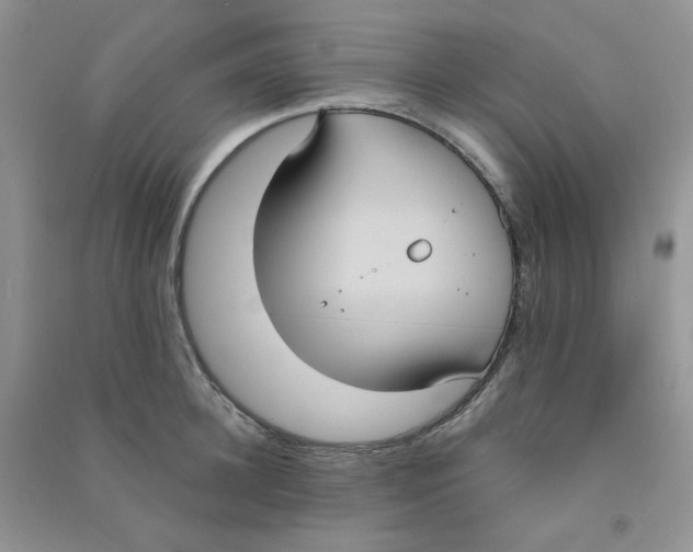 X0000090710948200708171904