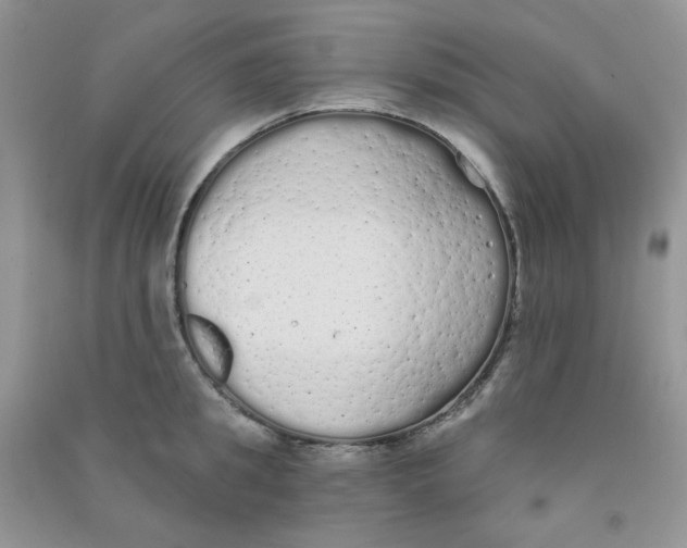 X0000090710949200708171904