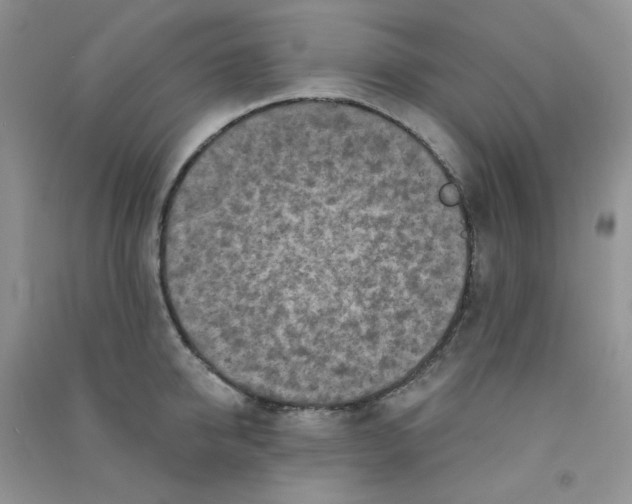 X0000090710950200708171904