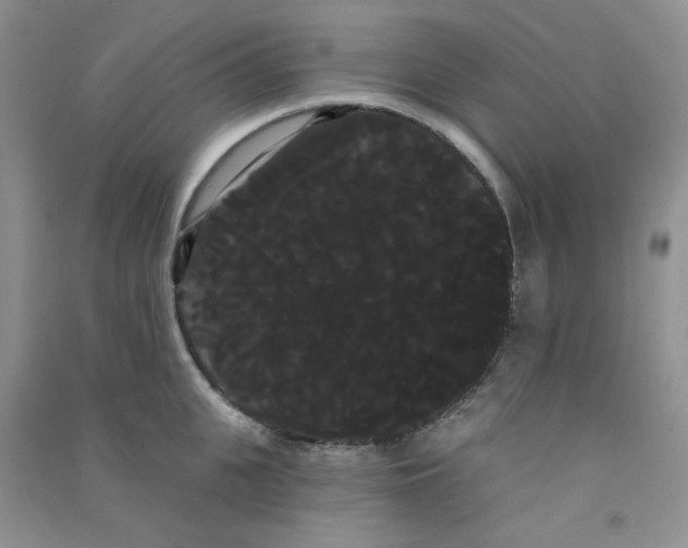 X0000090710951200708171904