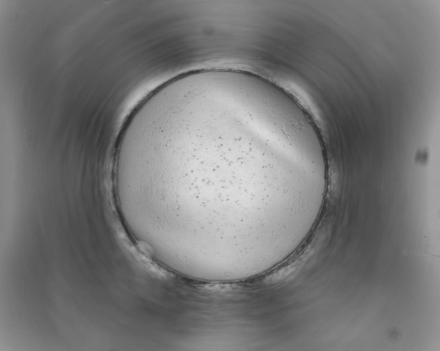 X0000090710952200708171904